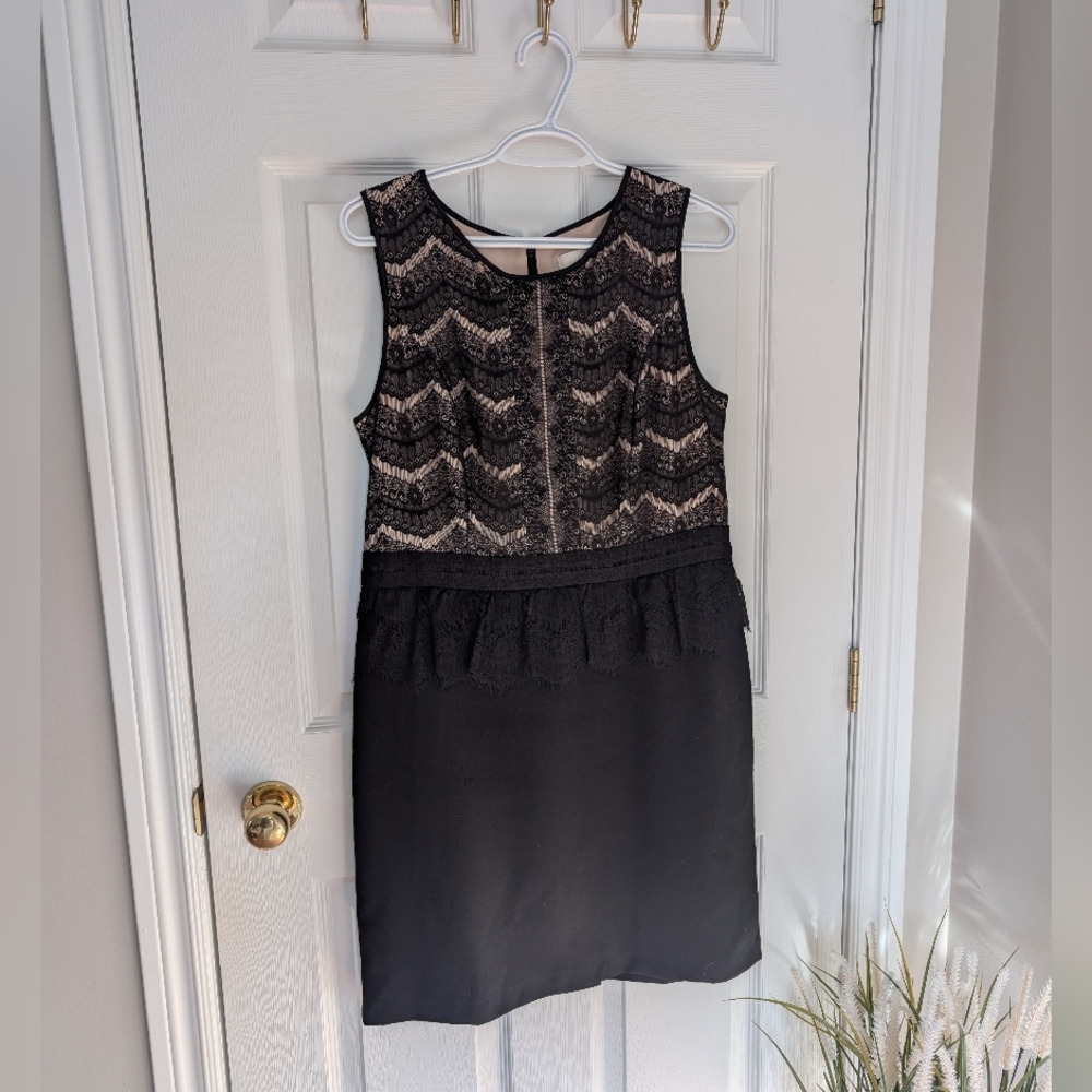LOFT Black and Cream Lace Dress